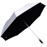 Silver Umbrella